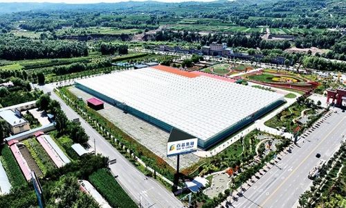 黃土地綻放美麗經(jīng)濟(jì) 臨夏百益現(xiàn)代農(nóng)業(yè)科技有限責(zé)任公司技術(shù)開(kāi)發(fā)側(cè)記